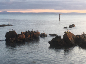 Sheila Caldwell - Artist, in Pittenweem